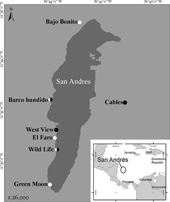 Bloom of Trichogloeopsis pedicellata (Rhodophyta, Nemaliales) following hurricane Iota in San Andrés, Southwestern Caribbean Sea